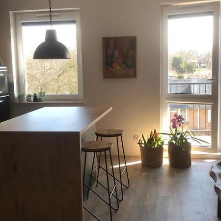 Apartament Goscinne Sady Malbork Eksteriør bilde